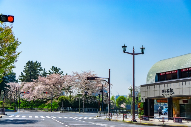 四ツ谷の住みやすさを徹底解説｜交通・治安・防災が整った安心の街